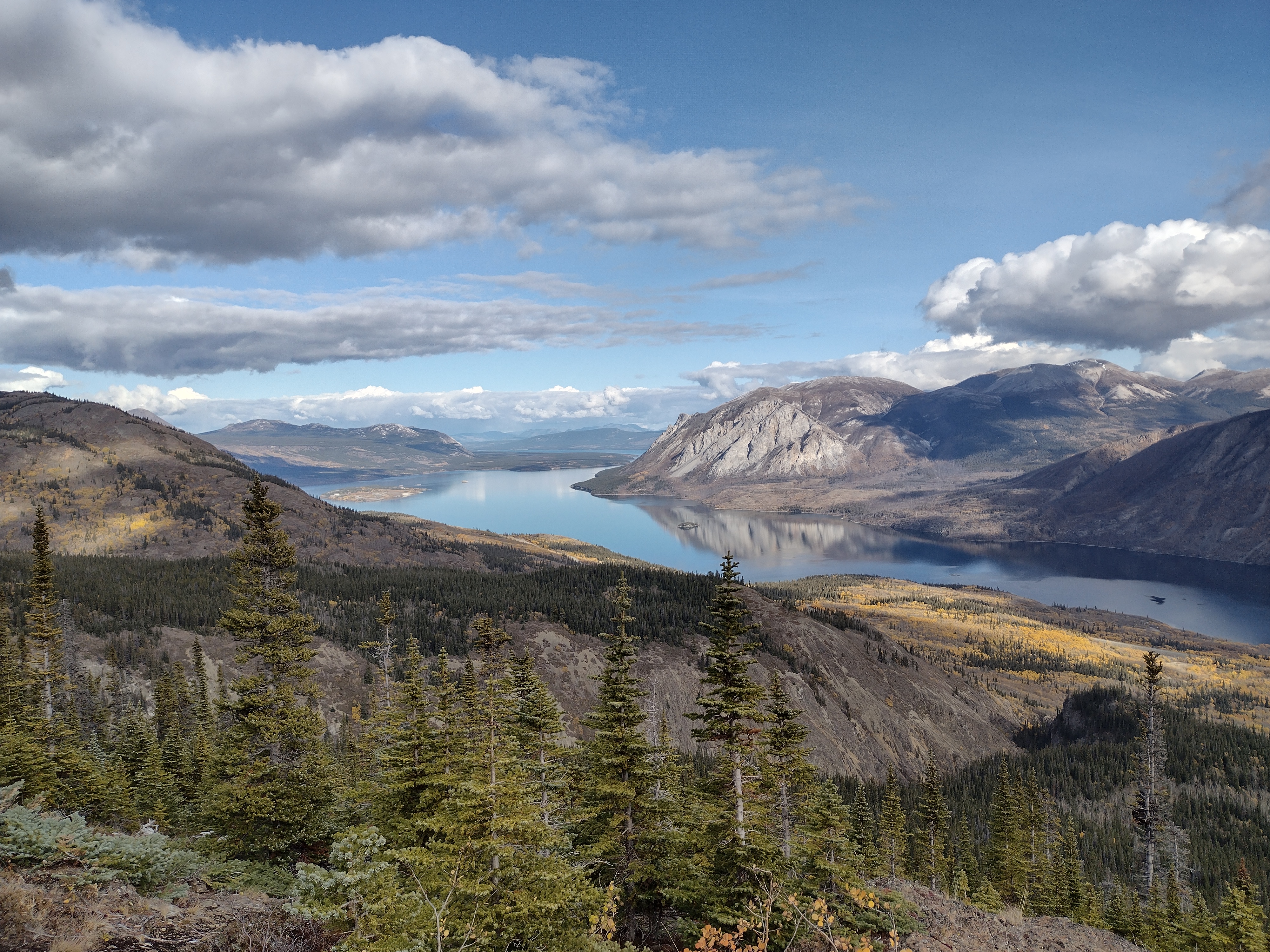 Wide panoramic view of a Yukon lake surrounded by fall foliage and mountains under a blue sky